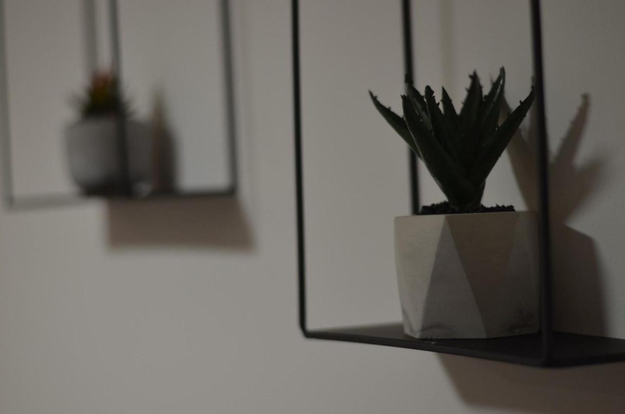 Apartman N&A Novi Sad Buitenkant foto